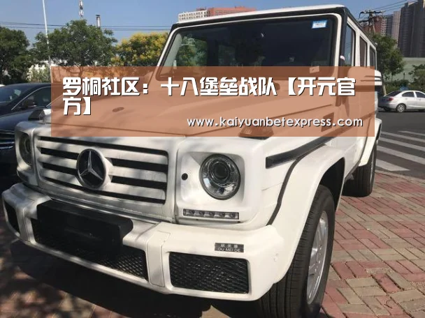 罗桐社区:十八堡垒战队【开元官方】(图2) 开元体育